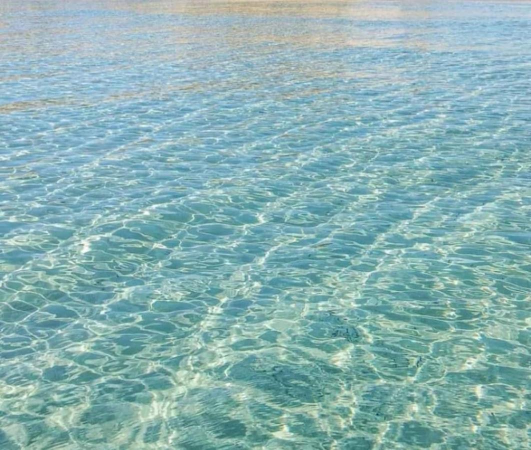 Appartamento Lido San Giovanni 加利波利 外观 照片